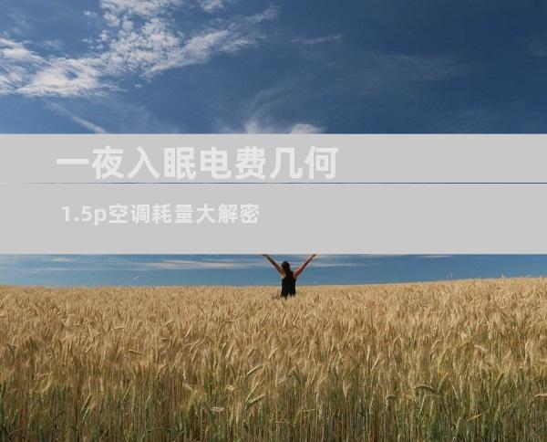 一夜入眠电费几何 1.5p空调耗量大解密